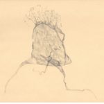 Lower Ordovician acritarch from the Prague Basin